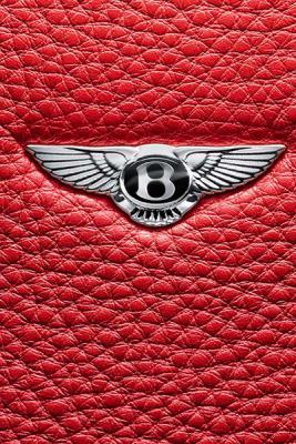 Новая коллекци аксессуаров от Bentley Motors  (59915.bentley.b.jpg)